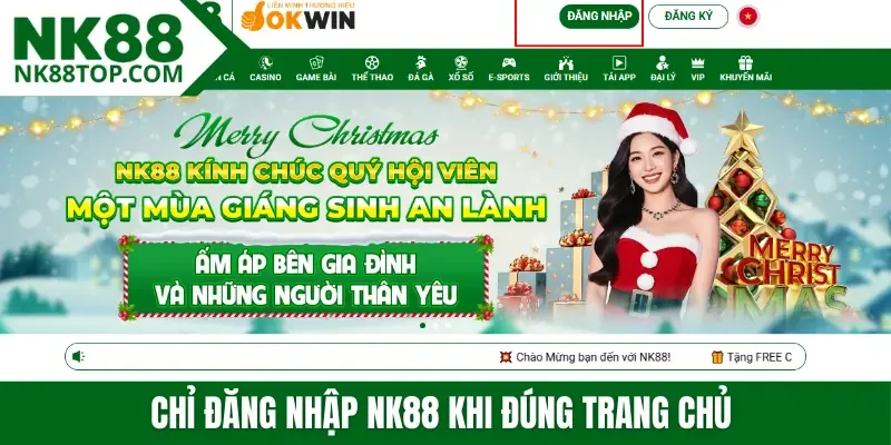 Chỉ đăng nhập NK88 khi đúng trang chủ