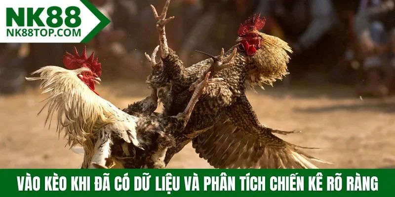Vào kèo khi đã có dữ liệu và phân tích chiến kê rõ ràng